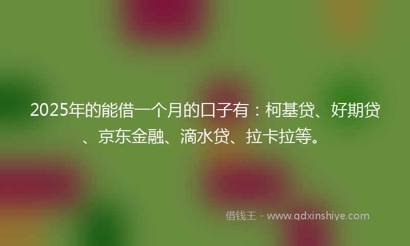 2025年的能借一个月的口子有：柯基贷、好期贷、京东金融、滴水贷、拉卡拉等。