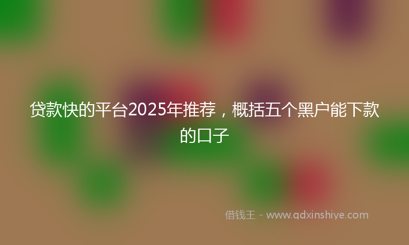 贷款快的平台2025年推荐，概括五个黑户能下款的口子