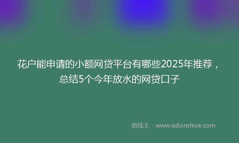 花户能申请的小额网贷平台有哪些2025年推荐,总结5个今年放水的网贷口子