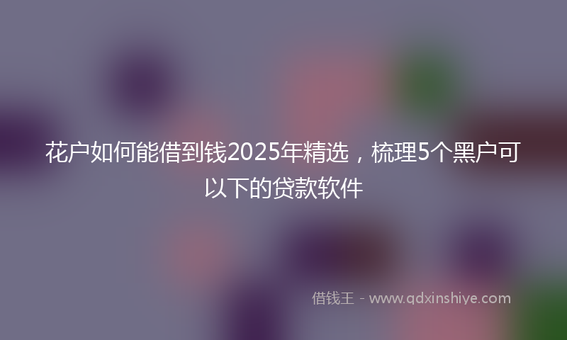 花户如何能借到钱2025年精选，梳理5个黑户可以下的贷款软件