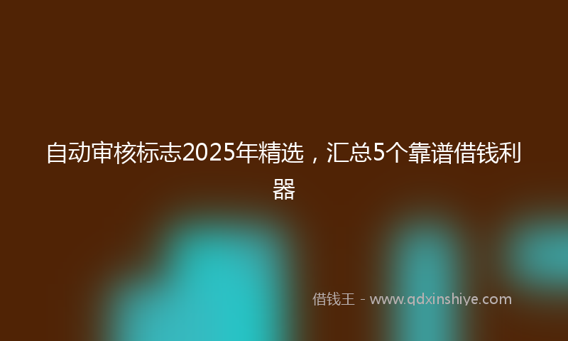 自动审核标志2025年精选，汇总5个靠谱借钱利器