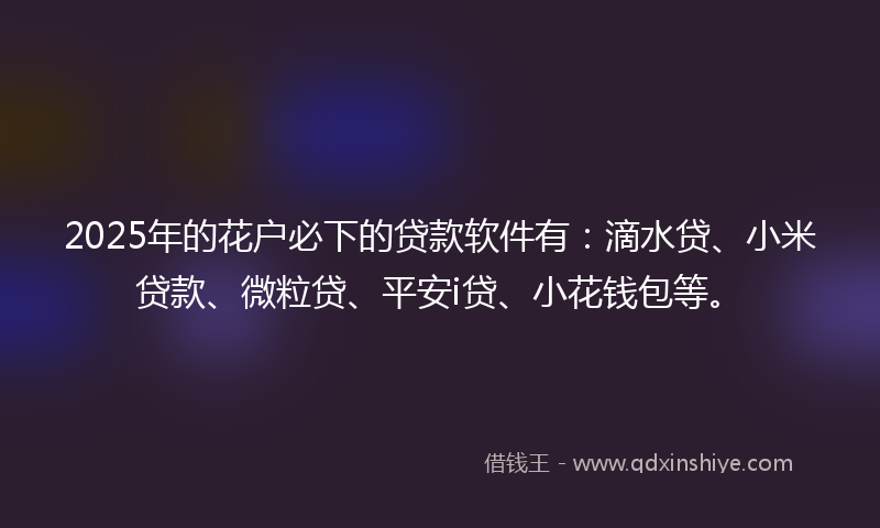 2025年的花户必下的贷款软件有：滴水贷、小米贷款、微粒贷、平安i贷、小花钱包等。