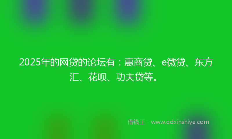 2025年的网贷的论坛有：惠商贷、e微贷、东方汇、花呗、功夫贷等。