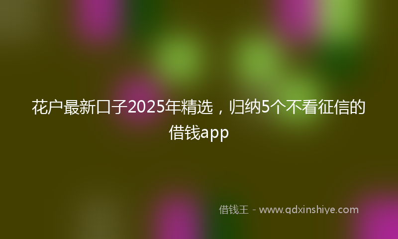 花户最新口子2025年精选，归纳5个不看征信的借钱app