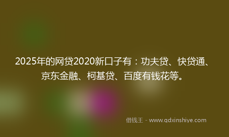 2025年的网贷2020新口子有：功夫贷、快贷通、京东金融、柯基贷、百度有钱花等。