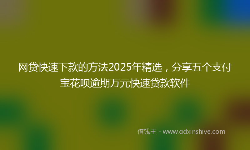 网贷快速下款的方法2025年精选，分享五个支付宝花呗逾期万元快速贷款软件