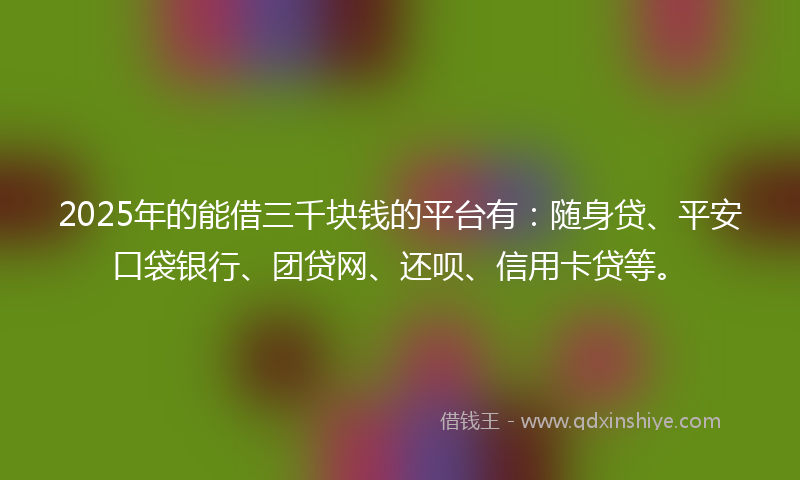 2025年的能借三千块钱的平台有：随身贷、平安口袋银行、团贷网、还呗、信用卡贷等。