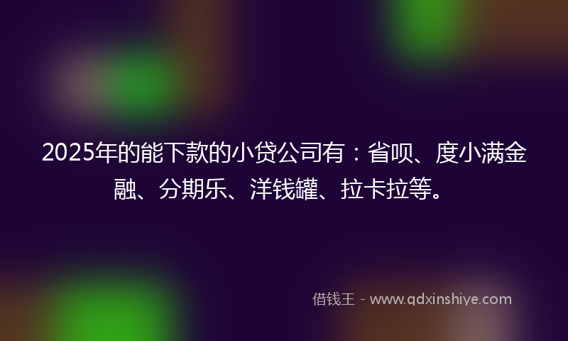 2025年的能下款的小贷公司有：省呗、度小满金融、分期乐、洋钱罐、拉卡拉等。