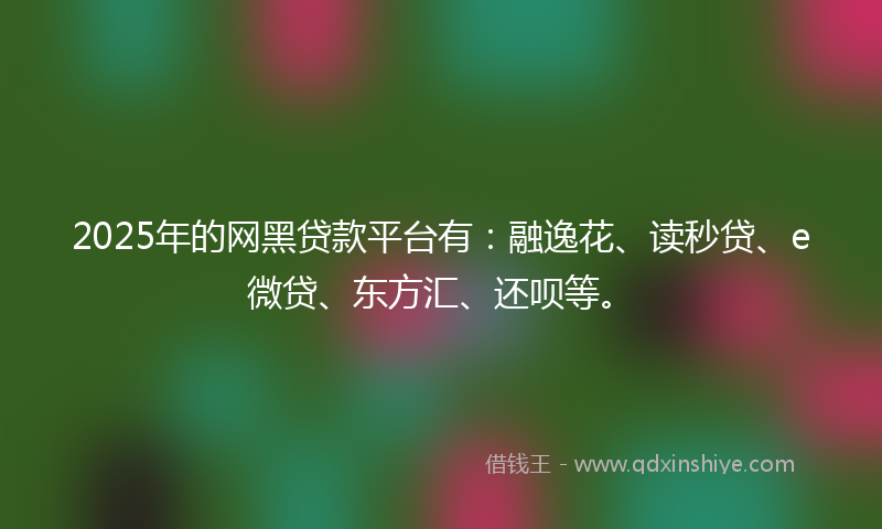 2025年的网黑贷款平台有：融逸花、读秒贷、e微贷、东方汇、还呗等。
