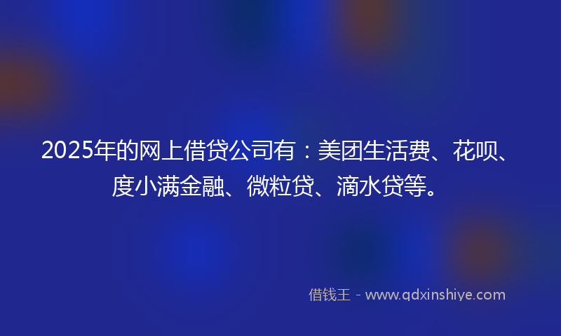 2025年的网上借贷公司有：美团生活费、花呗、度小满金融、微粒贷、滴水贷等。