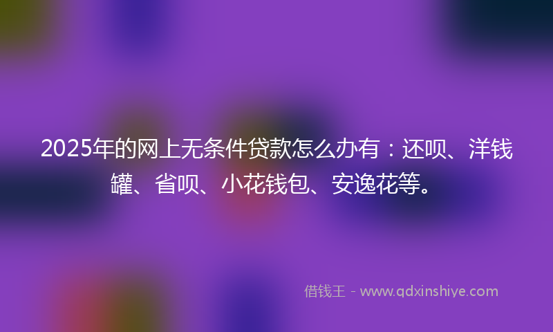 2025年的网上无条件贷款怎么办有：还呗、洋钱罐、省呗、小花钱包、安逸花等。