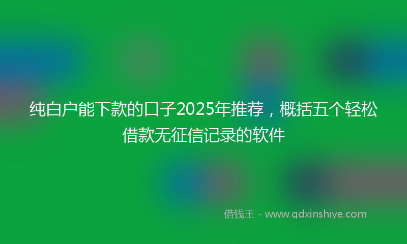 纯白户能下款的口子2025年推荐，概括五个轻松借款无征信记录的软件
