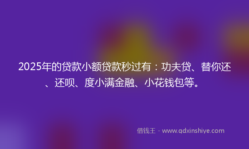 2025年的贷款小额贷款秒过有：功夫贷、替你还、还呗、度小满金融、小花钱包等。
