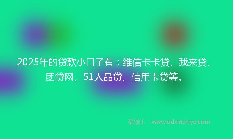 2025年的贷款小口子有：维信卡卡贷、我来贷、团贷网、51人品贷、信用卡贷等。