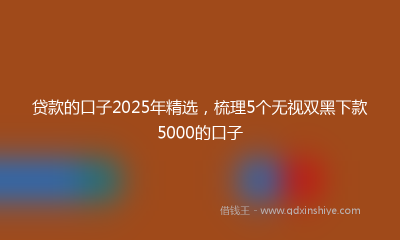 贷款的口子2025年精选，梳理5个无视双黑下款5000的口子