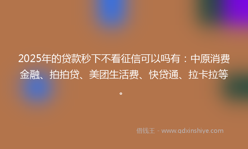2025年的贷款秒下不看征信可以吗有：中原消费金融、拍拍贷、美团生活费、快贷通、拉卡拉等。