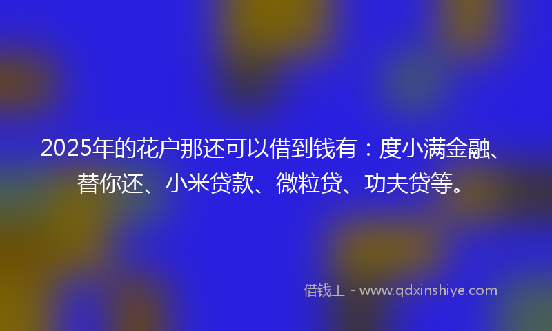 2025年的花户那还可以借到钱有：度小满金融、替你还、小米贷款、微粒贷、功夫贷等。