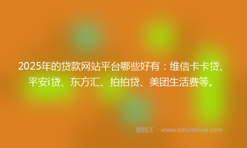 2025年的贷款网站平台哪些好有：维信卡卡贷、平安i贷、东方汇、拍拍贷、美团生活费等。