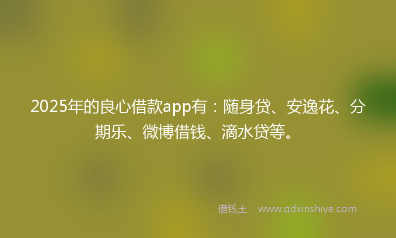 2025年的良心借款app有：随身贷、安逸花、分期乐、微博借钱、滴水贷等。