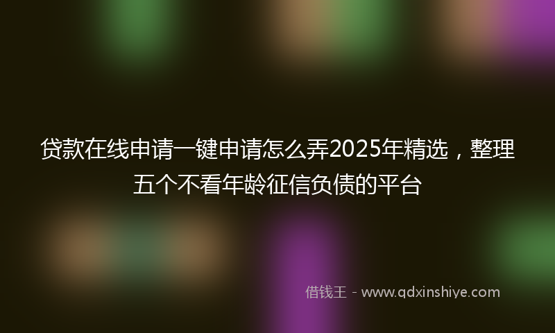 贷款在线申请一键申请怎么弄2025年精选，整理五个不看年龄征信负债的平台