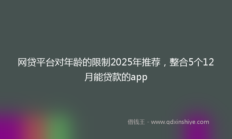 网贷平台对年龄的限制2025年推荐，整合5个12月能贷款的app