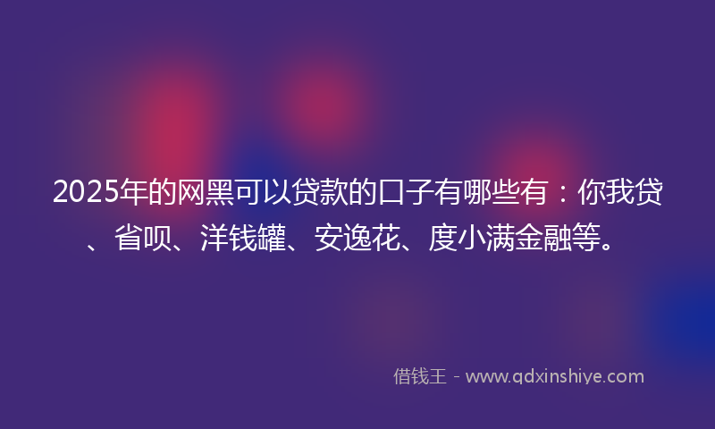 2025年的网黑可以贷款的口子有哪些有：你我贷、省呗、洋钱罐、安逸花、度小满金融等。