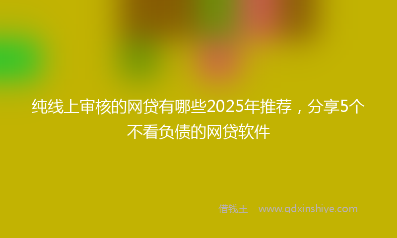 纯线上审核的网贷有哪些2025年推荐，分享5个不看负债的网贷软件