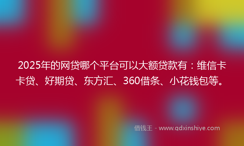 2025年的网贷哪个平台可以大额贷款有：维信卡卡贷、好期贷、东方汇、360借条、小花钱包等。