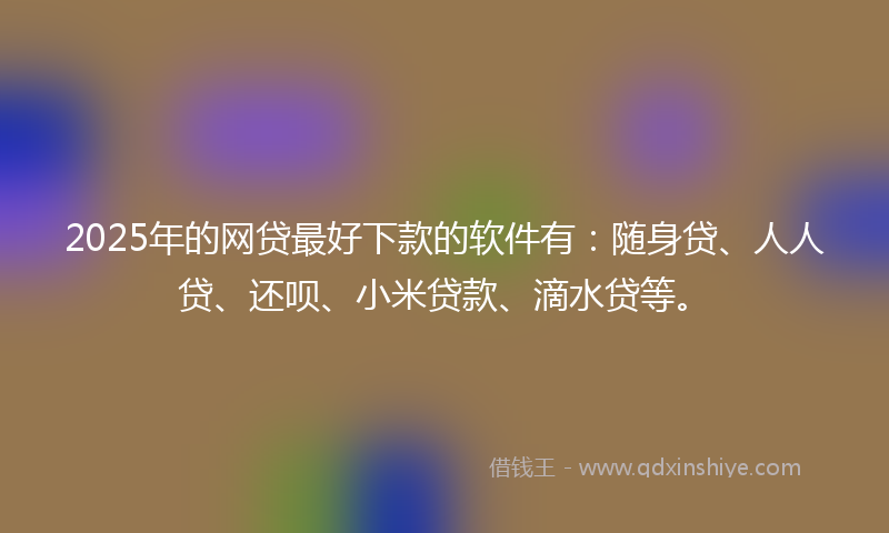 2025年的网贷最好下款的软件有：随身贷、人人贷、还呗、小米贷款、滴水贷等。