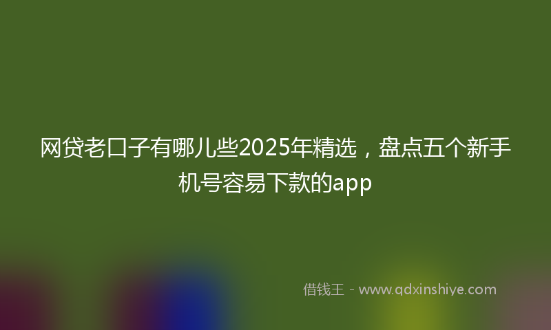 网贷老口子有哪儿些2025年精选，盘点五个新手机号容易下款的app