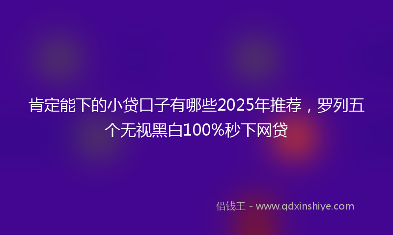 肯定能下的小贷口子有哪些2025年推荐，罗列五个无视黑白100%秒下网贷
