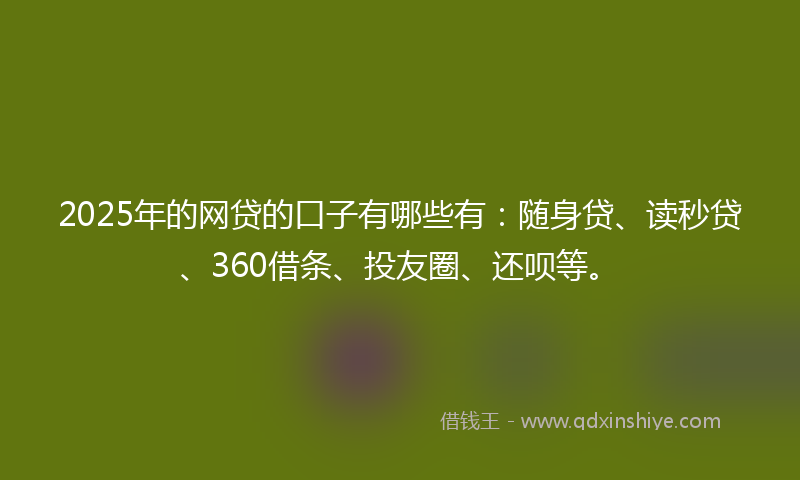 2025年的网贷的口子有哪些有：随身贷、读秒贷、360借条、投友圈、还呗等。