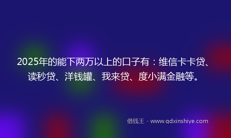 2025年的能下两万以上的口子有：维信卡卡贷、读秒贷、洋钱罐、我来贷、度小满金融等。