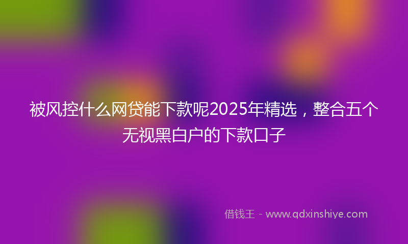 被风控什么网贷能下款呢2025年精选，整合五个无视黑白户的下款口子