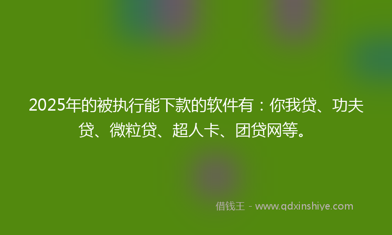 2025年的被执行能下款的软件有：你我贷、功夫贷、微粒贷、超人卡、团贷网等。