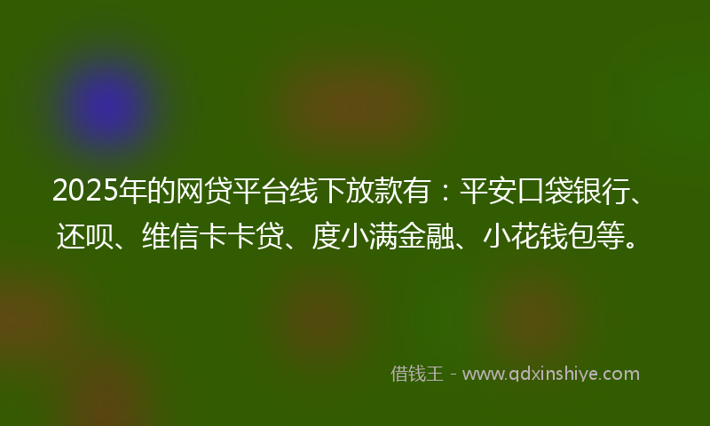 2025年的网贷平台线下放款有：平安口袋银行、还呗、维信卡卡贷、度小满金融、小花钱包等。