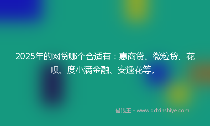 2025年的网贷哪个合适有：惠商贷、微粒贷、花呗、度小满金融、安逸花等。