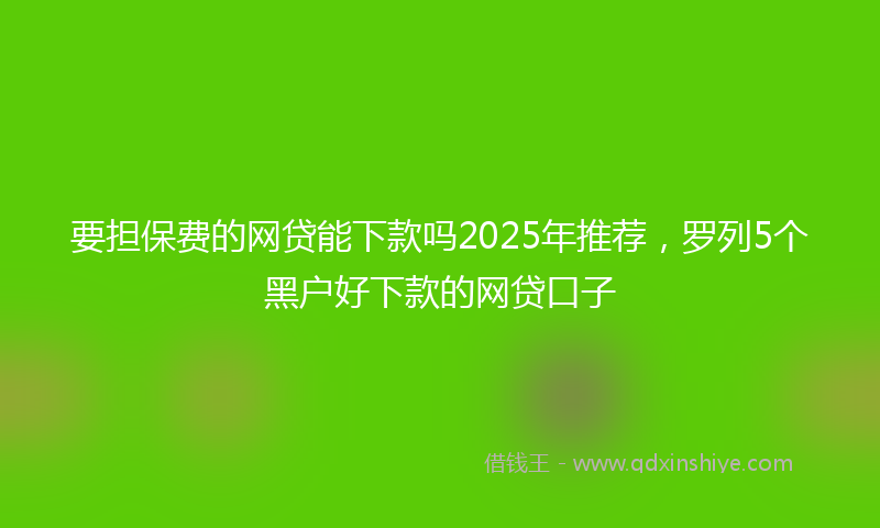 要担保费的网贷能下款吗2025年推荐，罗列5个黑户好下款的网贷口子