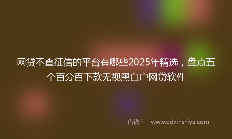 网贷不查征信的平台有哪些2025年精选，盘点五个百分百下款无视黑白户网贷软件