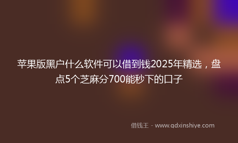 苹果版黑户什么软件可以借到钱2025年精选，盘点5个芝麻分700能秒下的口子