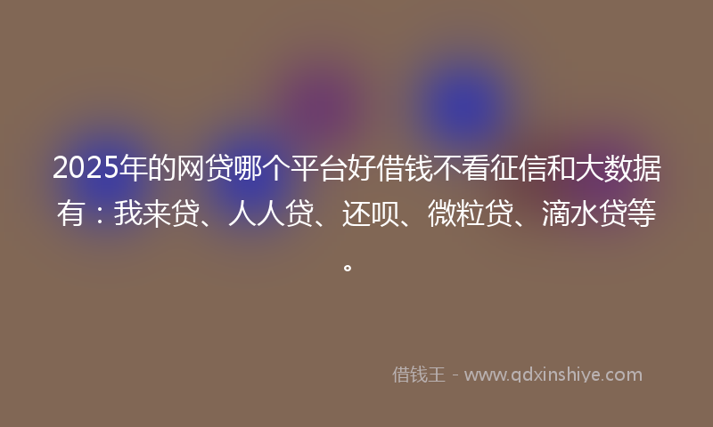 2025年的网贷哪个平台好借钱不看征信和大数据有：我来贷、人人贷、还呗、微粒贷、滴水贷等。