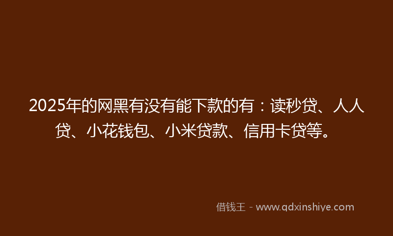 2025年的网黑有没有能下款的有：读秒贷、人人贷、小花钱包、小米贷款、信用卡贷等。