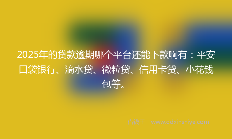 2025年的贷款逾期哪个平台还能下款啊有：平安口袋银行、滴水贷、微粒贷、信用卡贷、小花钱包等。