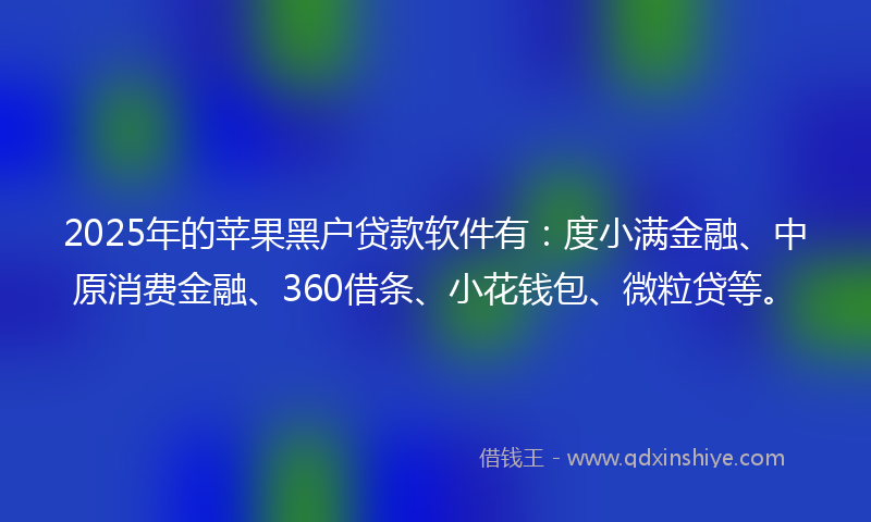 2025年的苹果黑户贷款软件有：度小满金融、中原消费金融、360借条、小花钱包、微粒贷等。