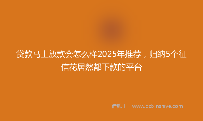 贷款马上放款会怎么样2025年推荐，归纳5个征信花居然都下款的平台