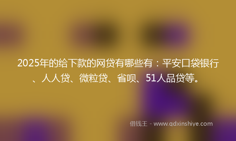 2025年的给下款的网贷有哪些有：平安口袋银行、人人贷、微粒贷、省呗、51人品贷等。
