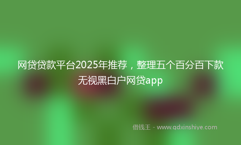 网贷贷款平台2025年推荐，整理五个百分百下款无视黑白户网贷app