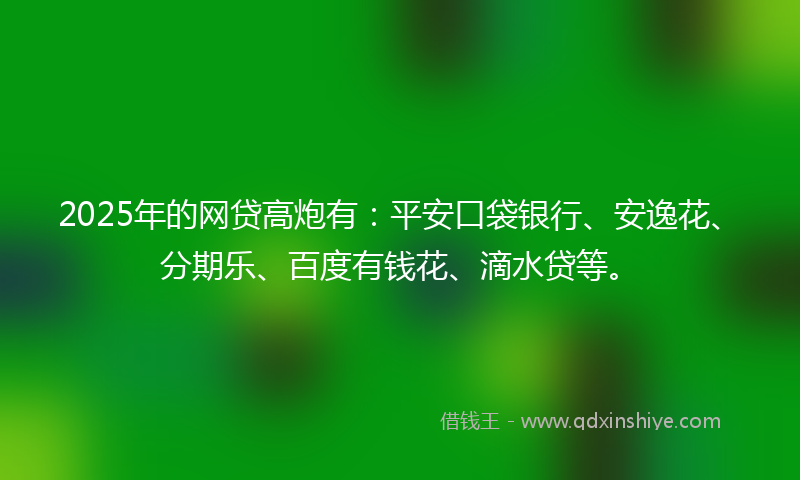 2025年的网贷高炮有：平安口袋银行、安逸花、分期乐、百度有钱花、滴水贷等。