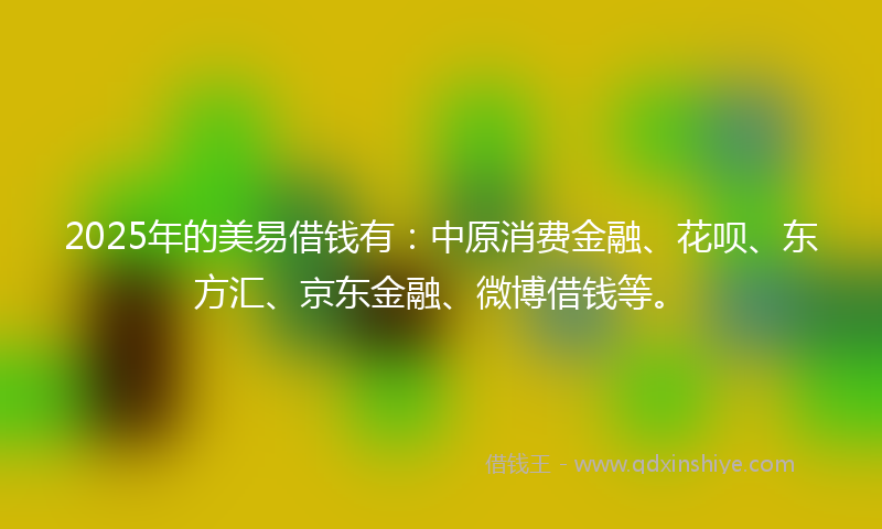 2025年的美易借钱有：中原消费金融、花呗、东方汇、京东金融、微博借钱等。