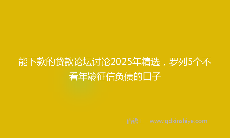 能下款的贷款论坛讨论2025年精选，罗列5个不看年龄征信负债的口子
